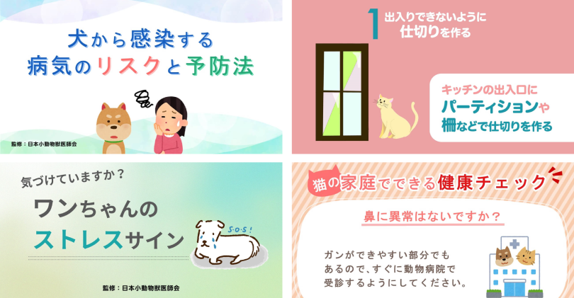 みーちゃん様 ご確認専用 （【ハーちゃん様専用】 ご確認用 ならし）