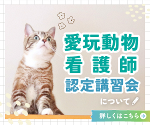 愛玩動物看護師認定講習会