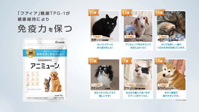 『株式会社HACHI』の会社イメージ画像