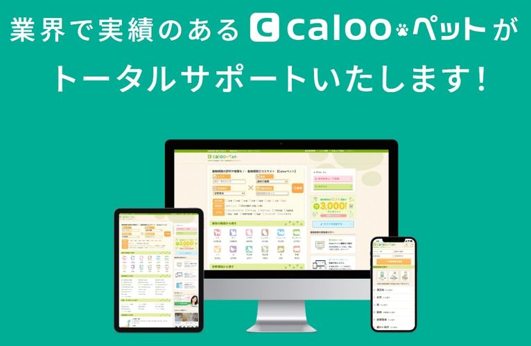 『カルー株式会社』の会社イメージ画像